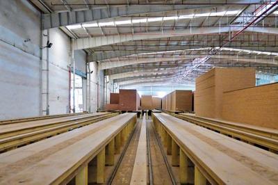 建豐新材料 建一座工廠，護一方山林，富一方百姓